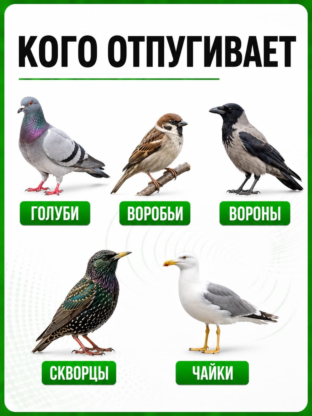 Антиприсадные шипы от птиц Jinshi (3 метра, 6 секций)