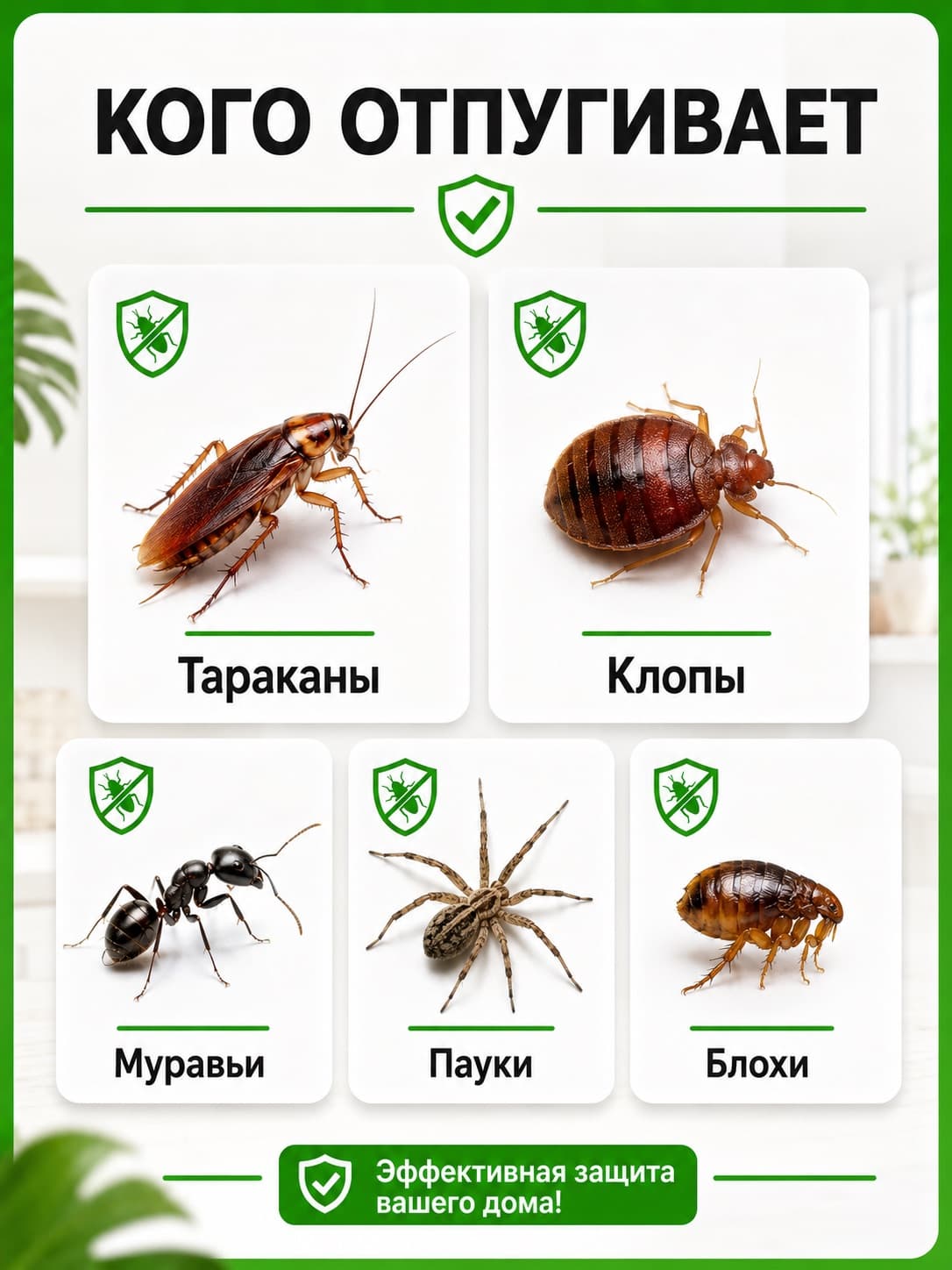 Торнадо ОТАР-2 - ультразвуковой отпугиватель тараканов