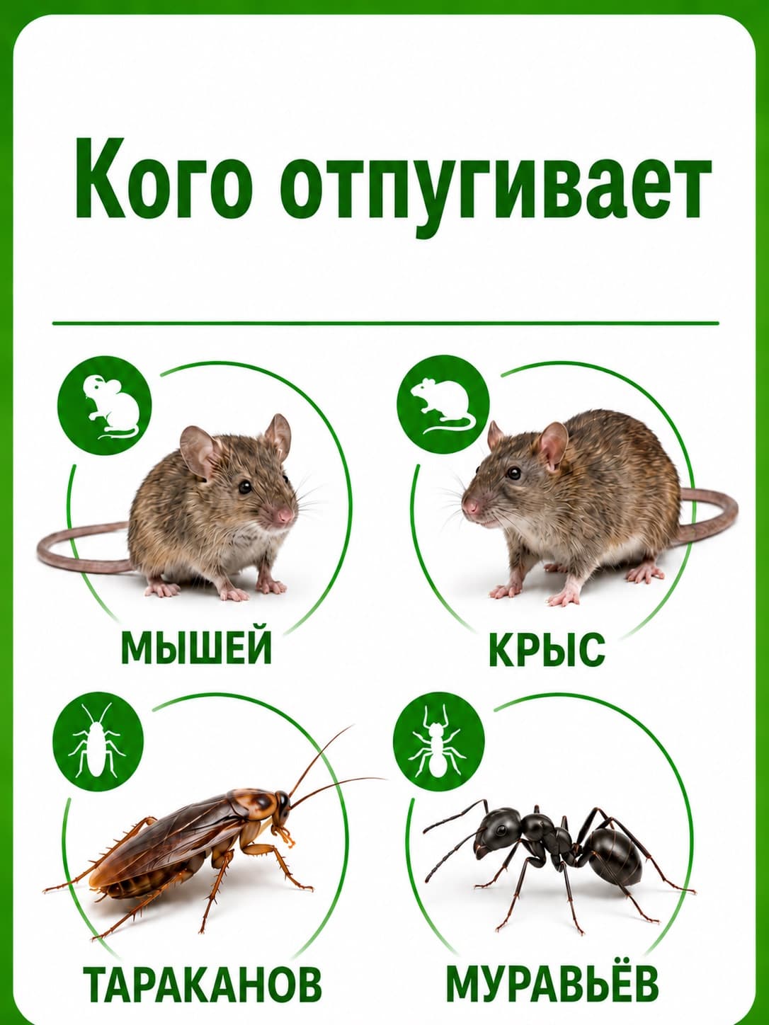 Отпугиватель тараканов, клопов и муравьев Экоснайпер LS-919